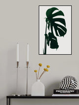 Monstera Natural 15 Poster och Canvastavla