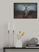 Omo Poster och Canvastavla