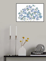 Hydrangea Poster och Canvastavla