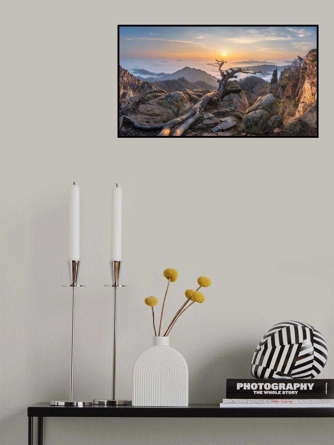 Dead pine Poster och Canvastavla