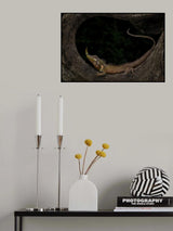 Pinokio lizard Poster och Canvastavla