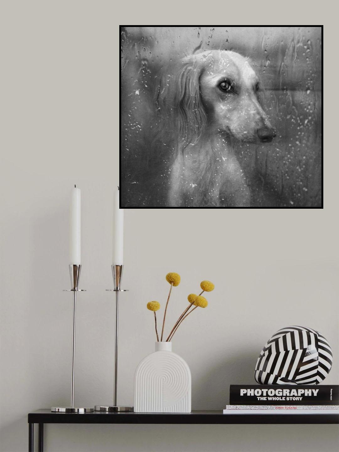 Autumn Poster och Canvastavla