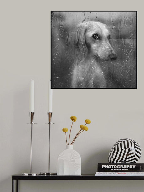 Autumn Poster och Canvastavla