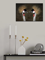 Grey Crowned Cranes Appointment Poster och Canvastavla