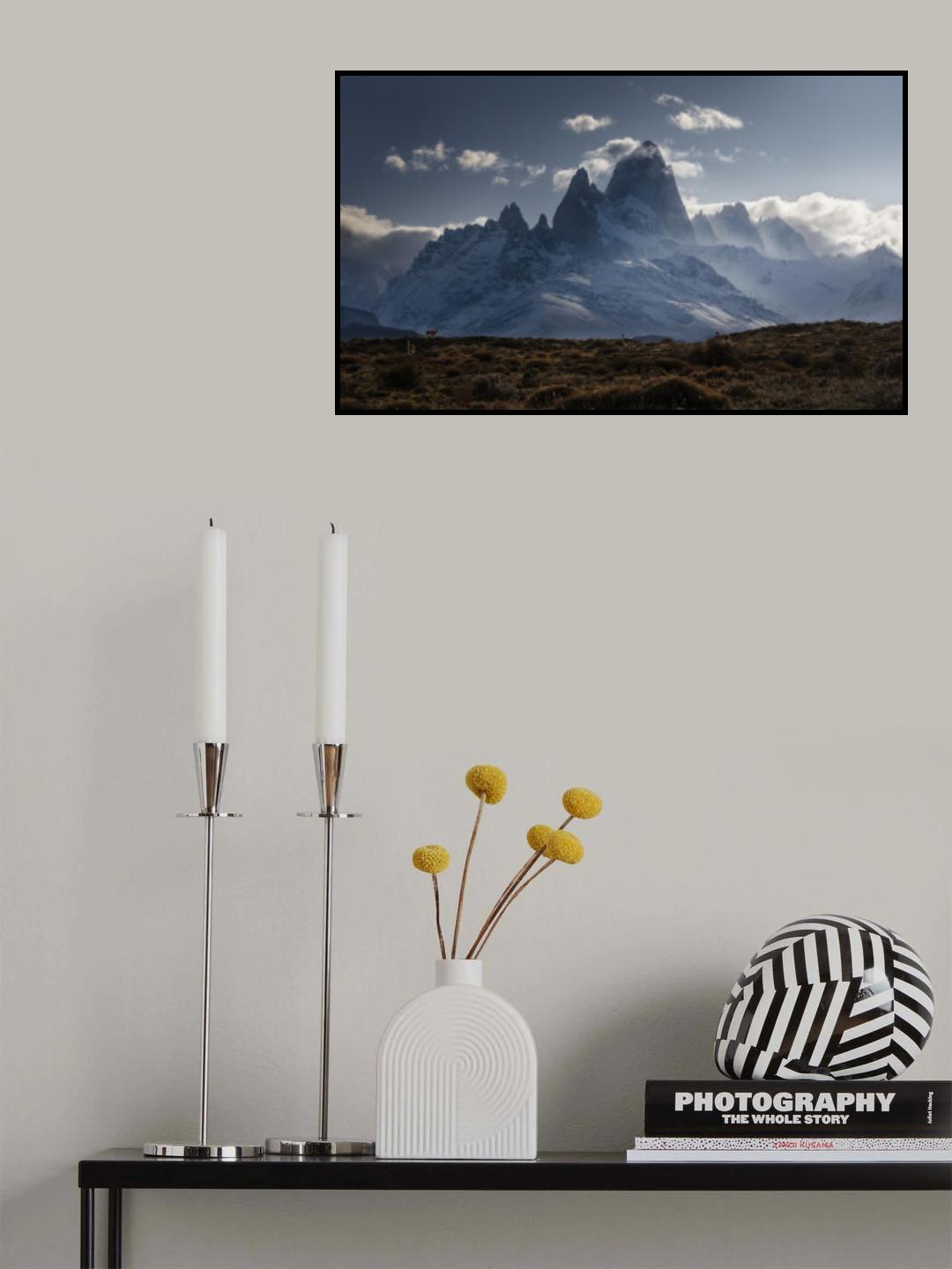 Guanacos' Homeland Poster och Canvastavla