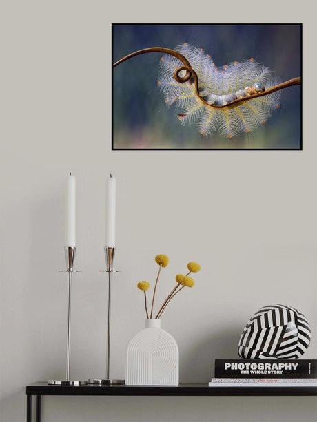 Pretty Toxic Poster och Canvastavla