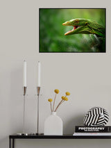Don't look at me Poster och Canvastavla