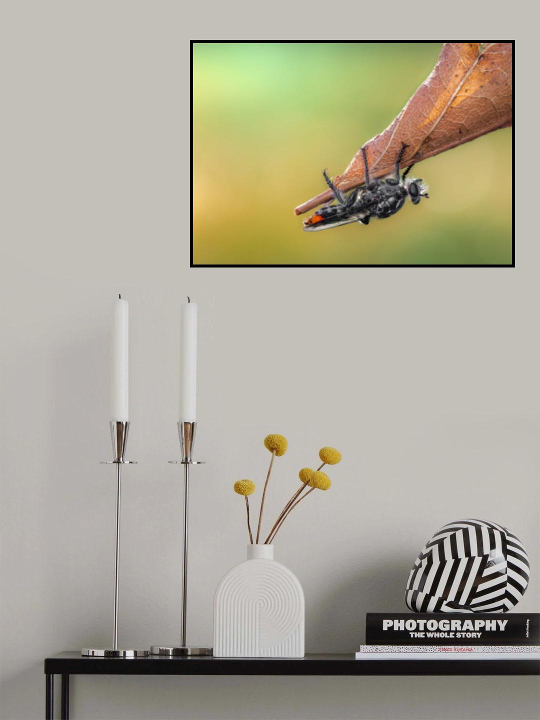 Upside down Poster och Canvastavla