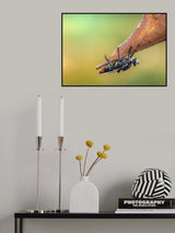 Upside down Poster och Canvastavla