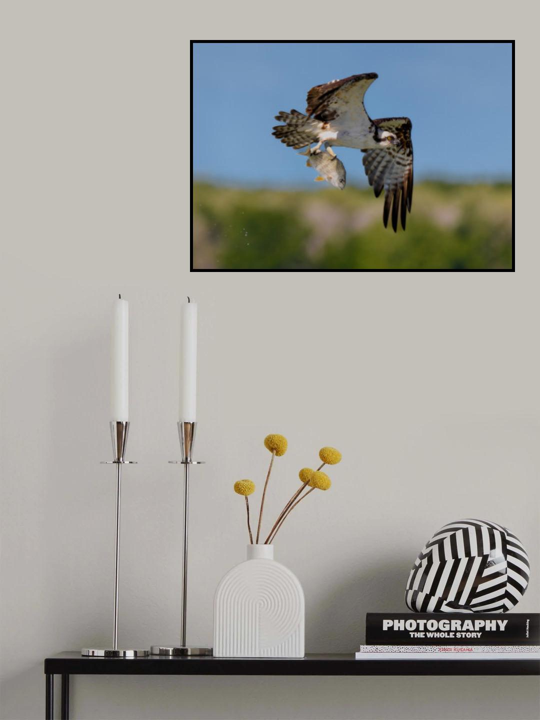 Two different eyes Poster och Canvastavla