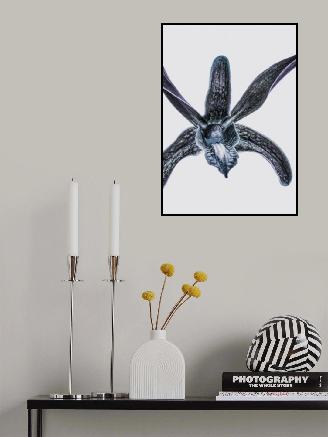 Orchid Poster och Canvastavla