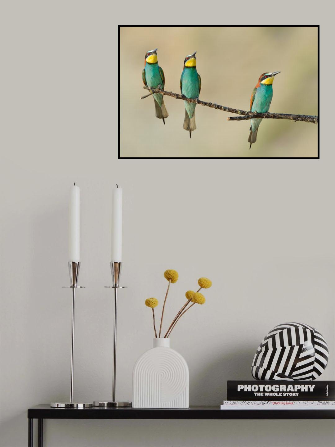 Three little guys on the tree Poster och Canvastavla