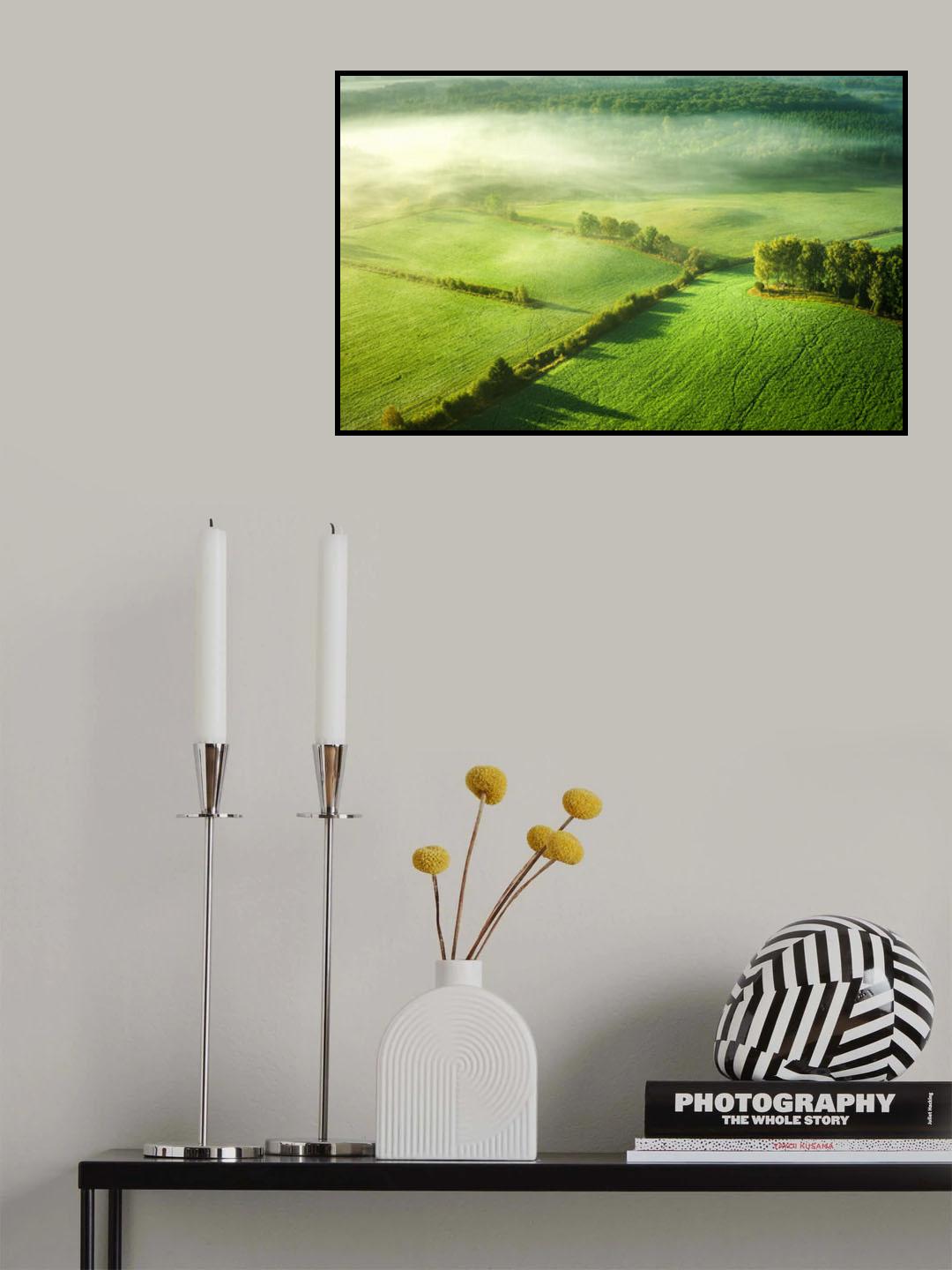 Above the mist Poster och Canvastavla
