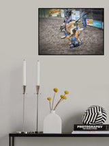 Falling Poster och Canvastavla