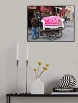 Junkman Poster och Canvastavla