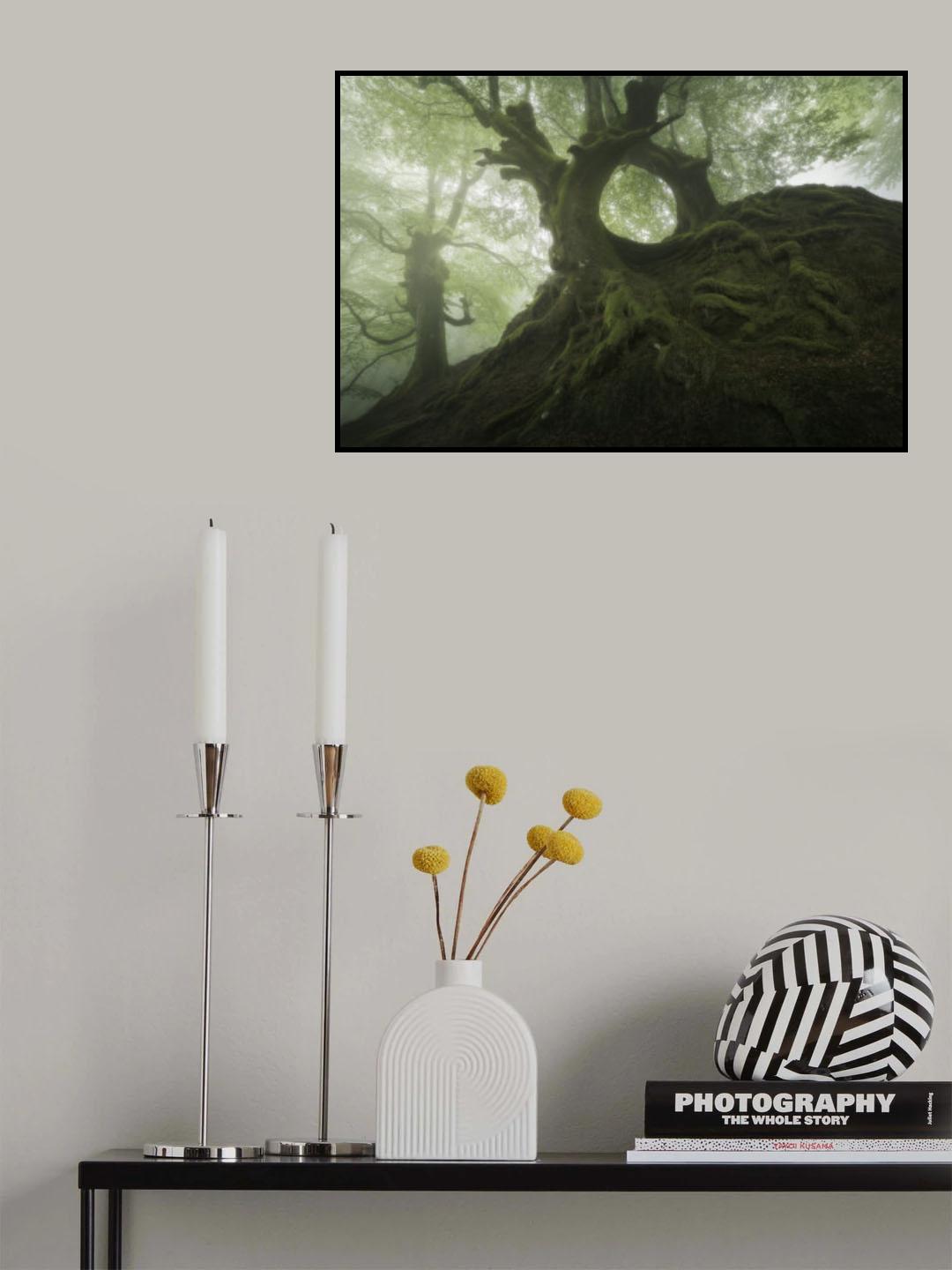 The Hole Poster och Canvastavla
