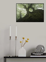 The Hole Poster och Canvastavla