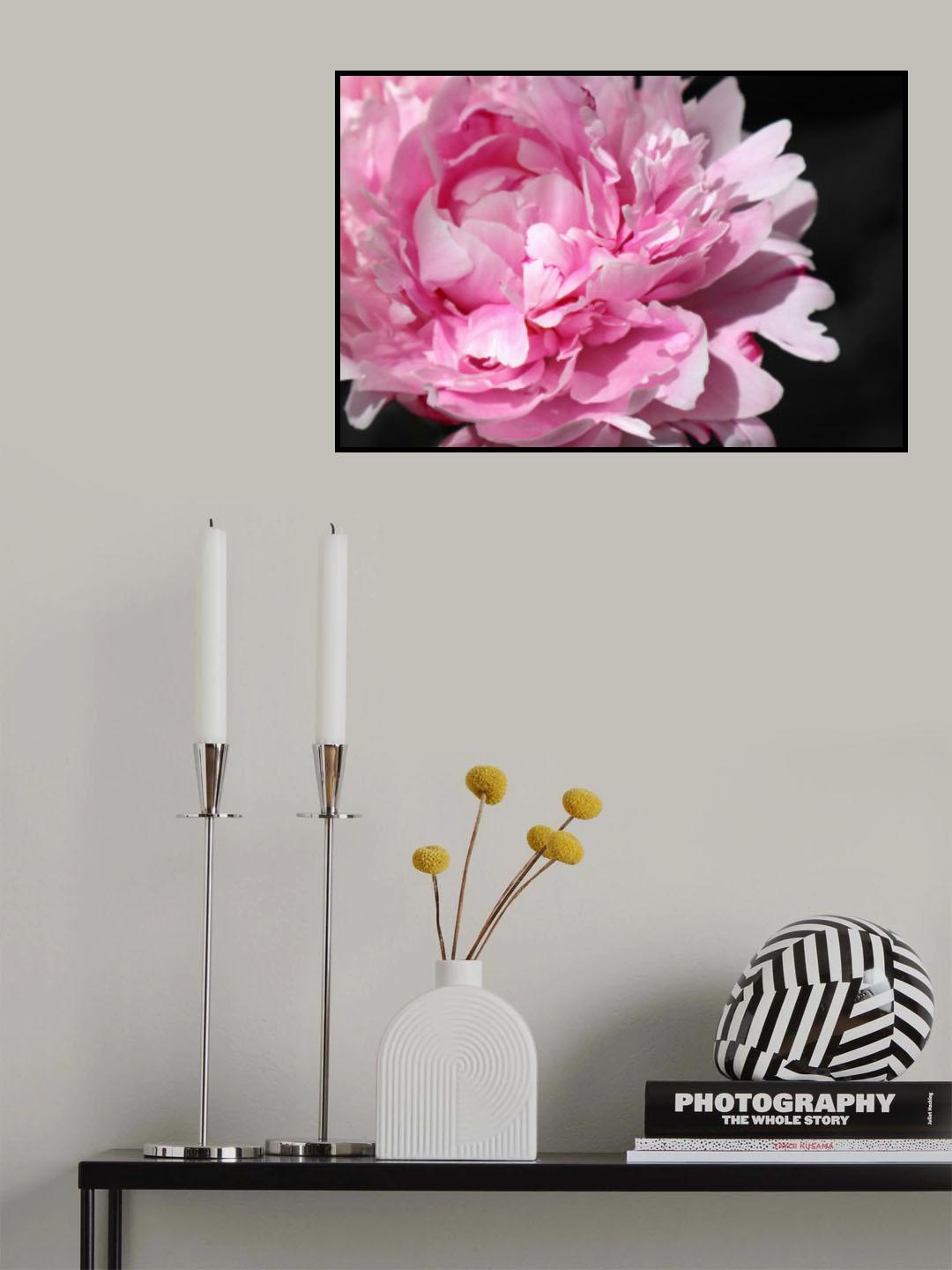 Pink peony VI Poster och Canvastavla