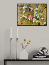 Waterlily sorting Poster och Canvastavla