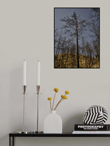 image of a forest after a fire Poster och Canvastavla