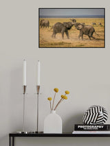 An elephantine argument Poster och Canvastavla