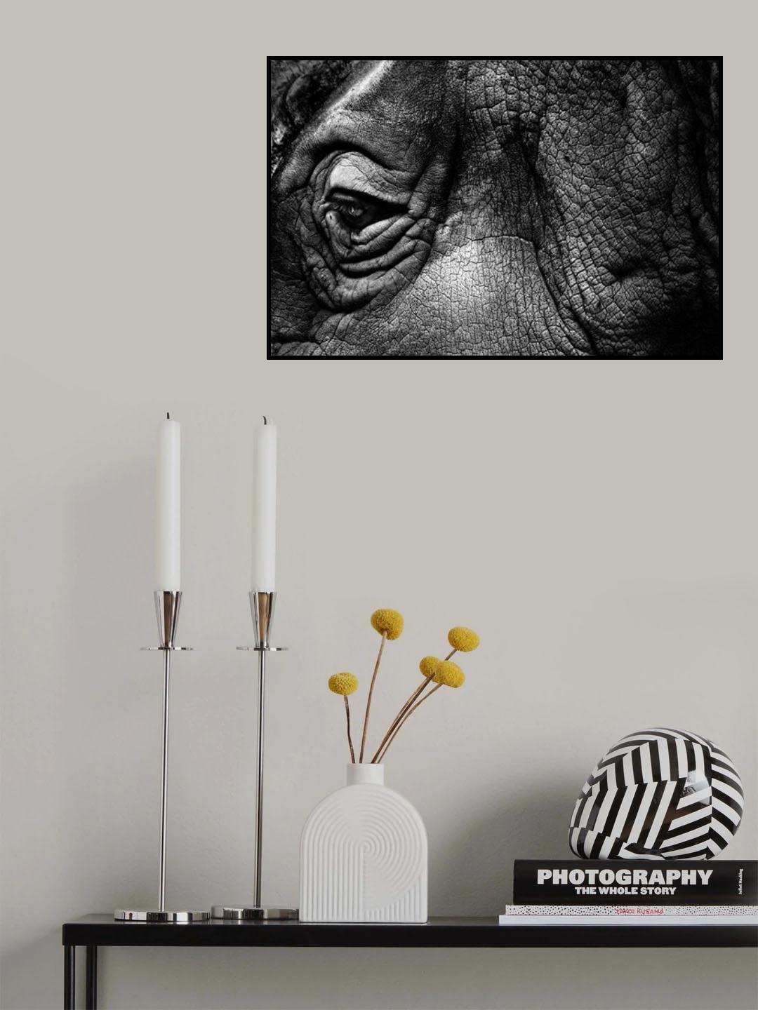 Rhino Poster och Canvastavla