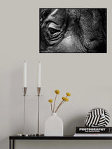 Rhino Poster och Canvastavla