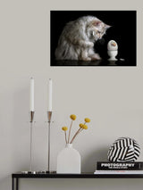 HelloWorld Poster och Canvastavla