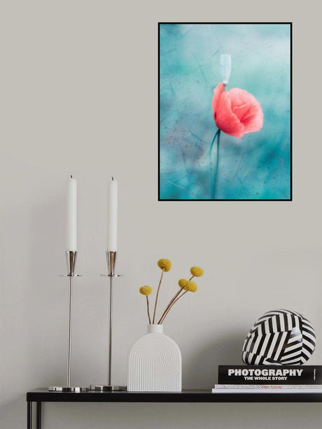 Let's cool Poster och Canvastavla