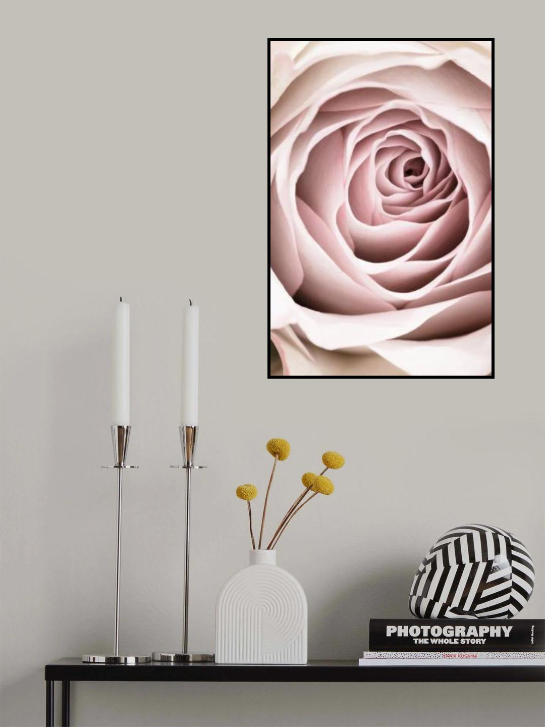Pink Rose No 03 Poster och Canvastavla