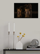 Two Brothers Poster och Canvastavla
