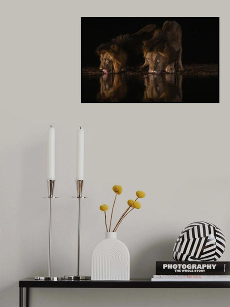 Two Brothers Poster och Canvastavla