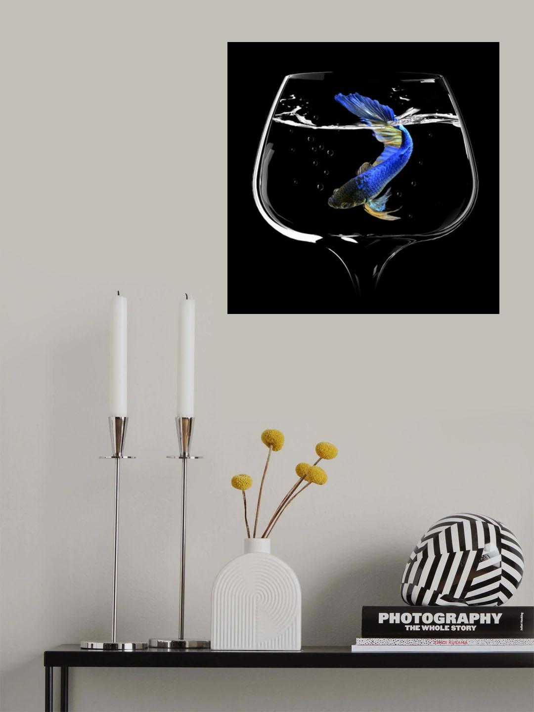 Betta Fish Dance Poster och Canvastavla