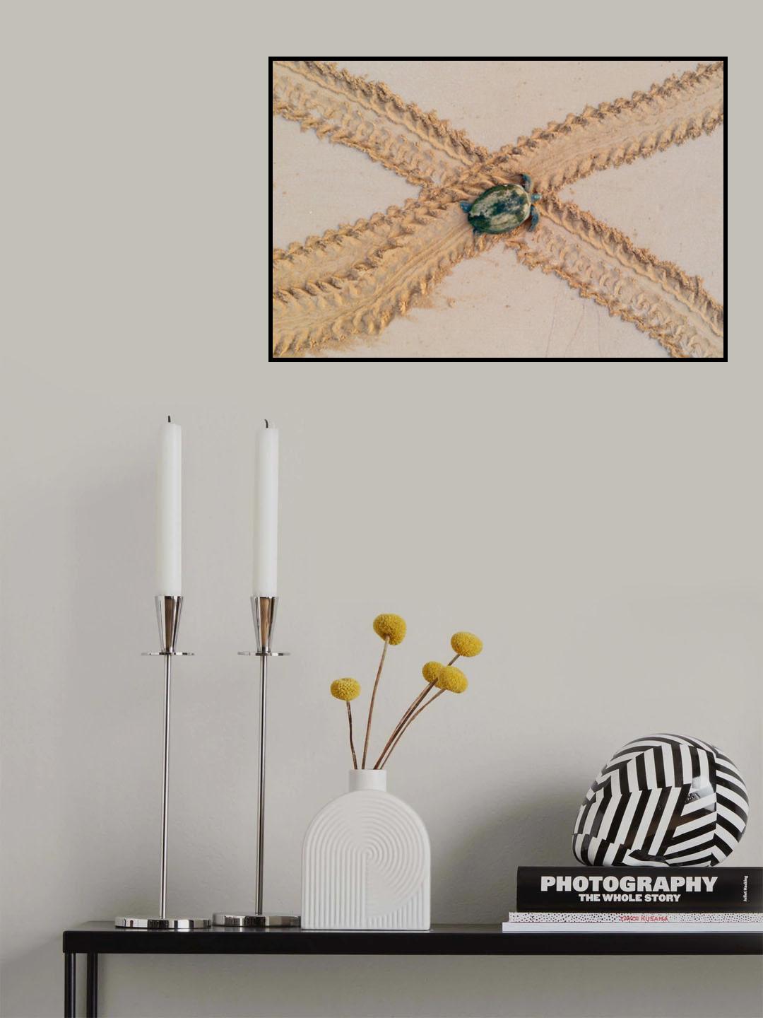 Green Turtle Poster och Canvastavla