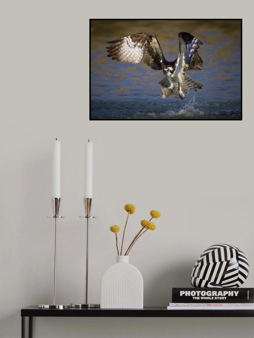 The Fisherman's Catch Poster och Canvastavla