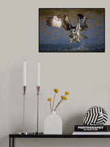 The Fisherman's Catch Poster och Canvastavla
