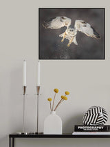 Winter action Poster och Canvastavla