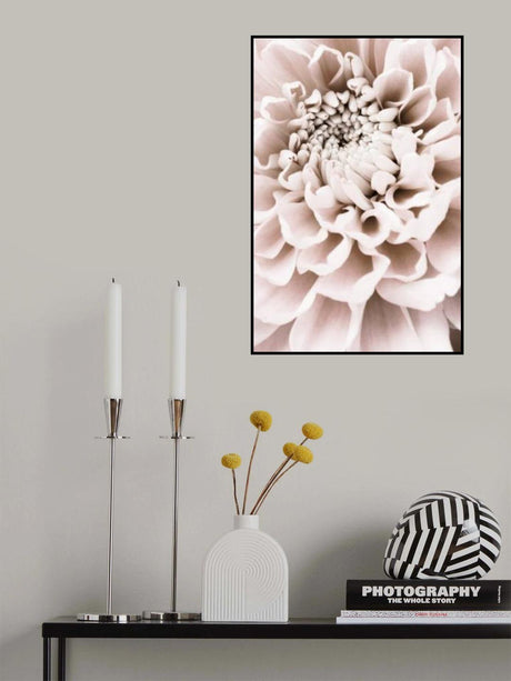 Chrysanthemum No 01 Poster och Canvastavla
