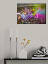 colourful festival Poster och Canvastavla
