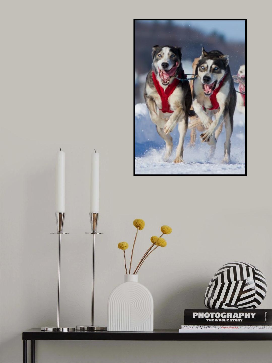 The Champions Poster och Canvastavla