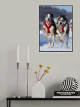 The Champions Poster och Canvastavla