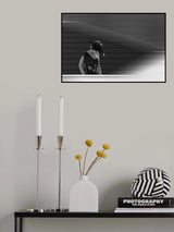 Lady on the stairs Poster och Canvastavla