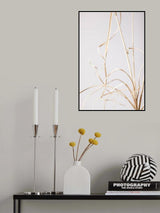 Dried Grass Grey 01 Poster och Canvastavla