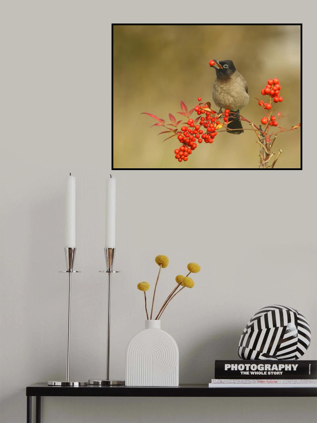 Bulbul with Nandina Poster och Canvastavla