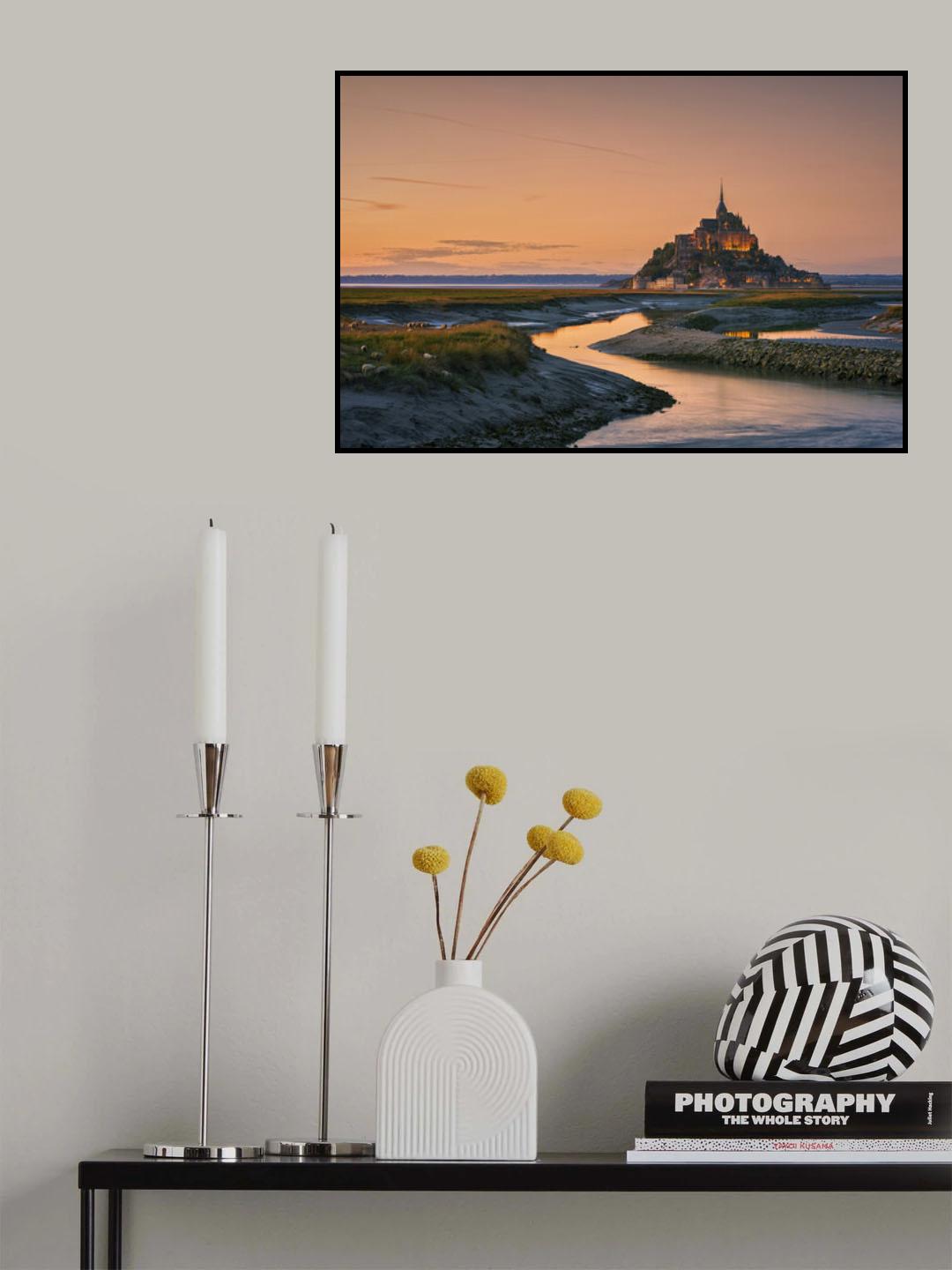 Orangine Poster och Canvastavla