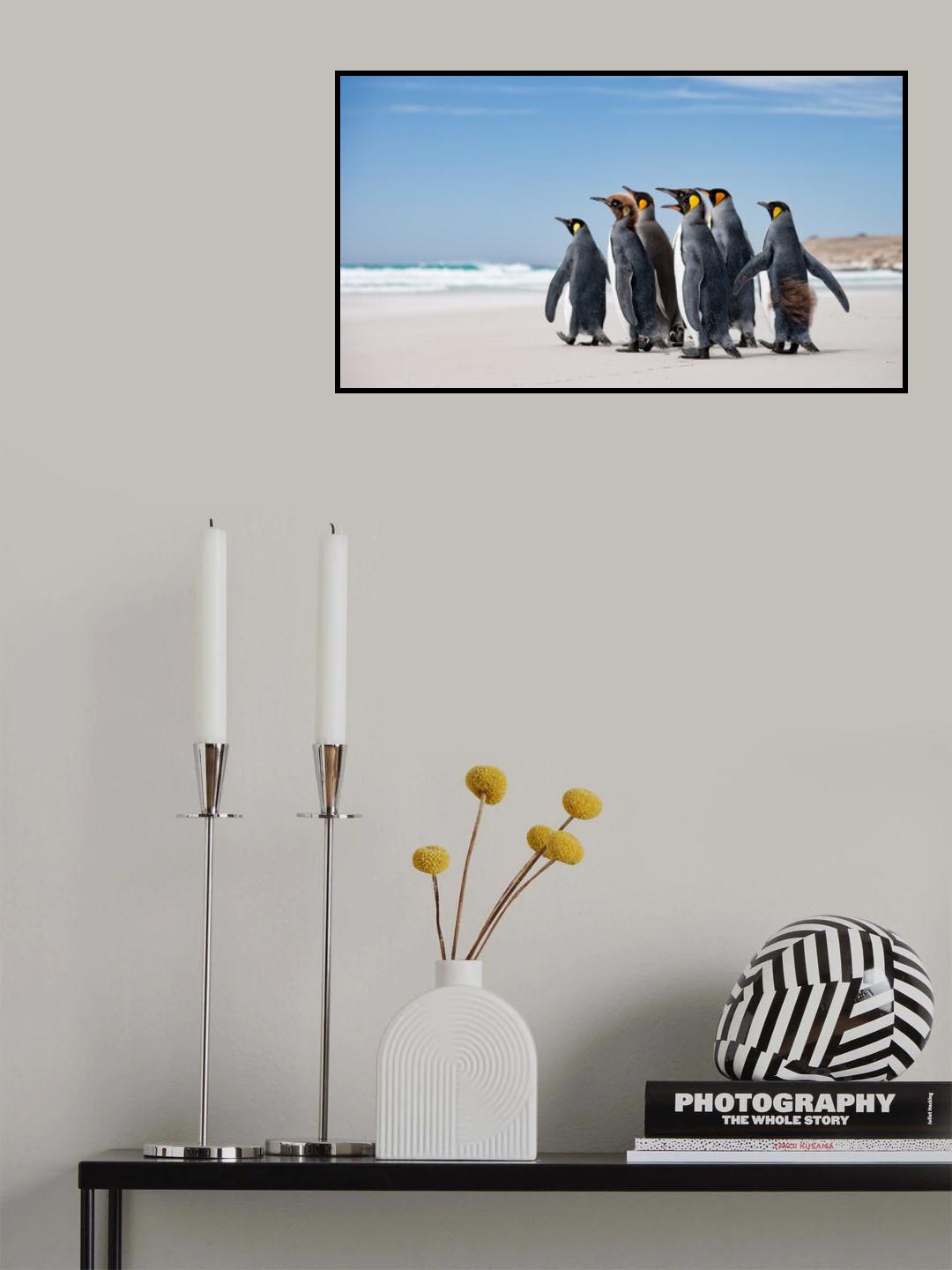Looking at sea Poster och Canvastavla