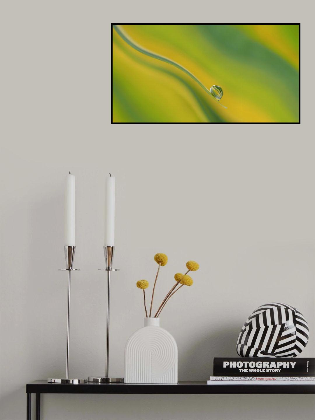 Catapult... Poster och Canvastavla