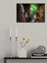 Magical eyes Poster och Canvastavla