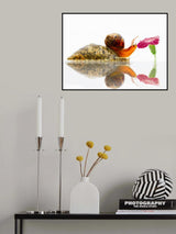 Forbidden Fruit Poster och Canvastavla