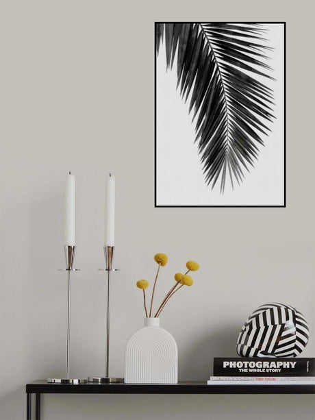 Palm Leaf Black & White I Poster och Canvastavla
